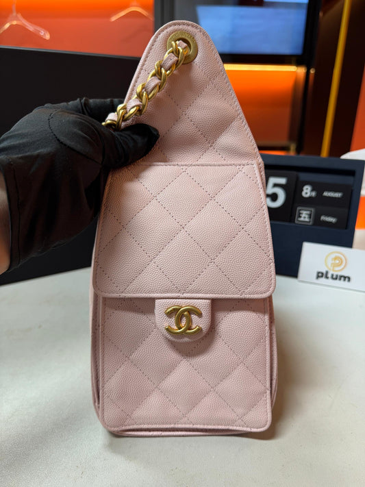 Chanel hobo 25