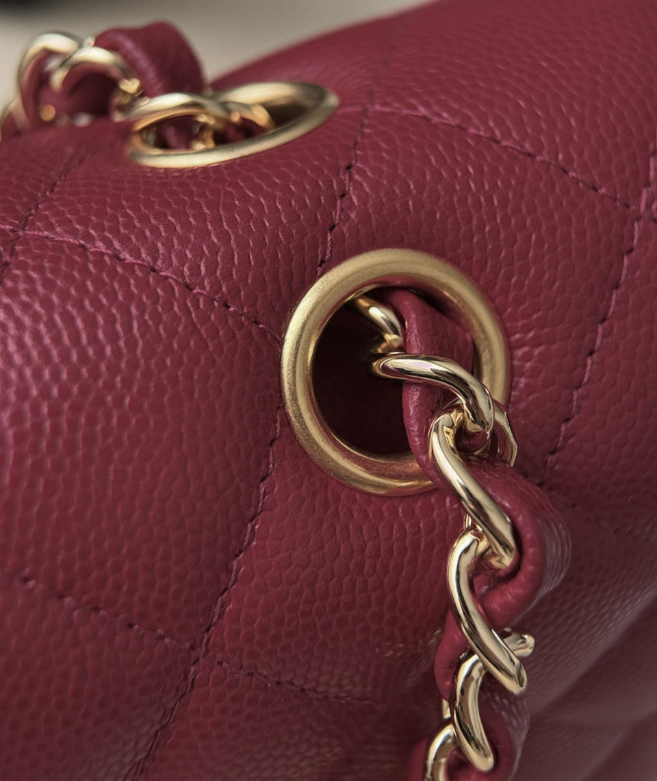 Elegant CF25 bag in burgundy
