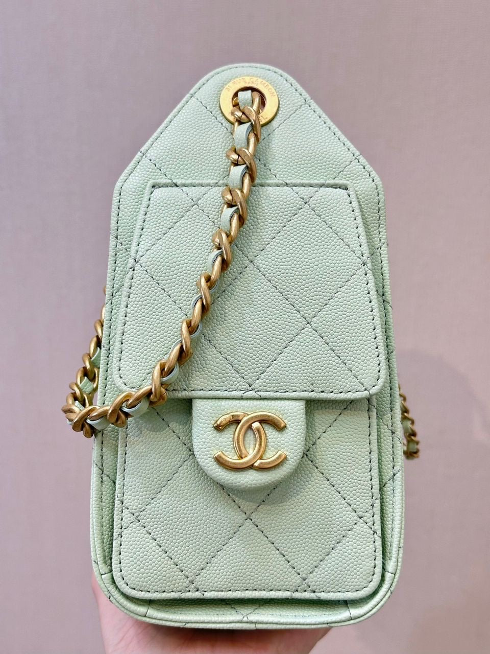 Chanel hobo 25 small size