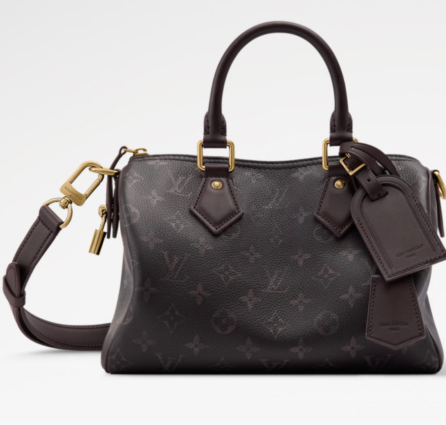 Louis Vuitton Speedy