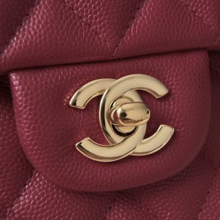 Elegant CF25 bag in burgundy